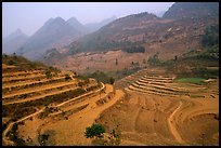 Dry cultivated terraces. Bac Ha, Vietnam (color)