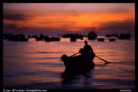 Man in a small boat, with moored boats seen against a vivid sunset. Vung Tau, Vietnam