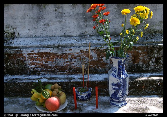 Flowers, fruit, and incense offered on a grave. Ben Tre, Vietnam (color)