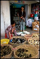 Chicks for sale. Cholon, Ho Chi Minh City, Vietnam (color)