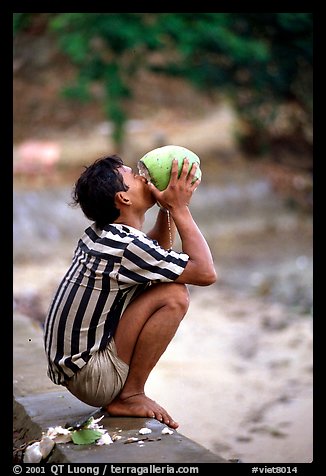 Drinking fresh coconut juice, cheaper than bottled water. Hong Chong Peninsula, Vietnam