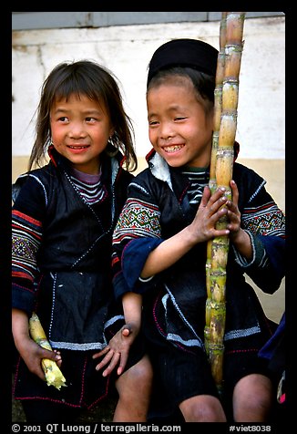 Black Hmong girls, with their daily fix of sugar cane, Sapa. Vietnam (color)