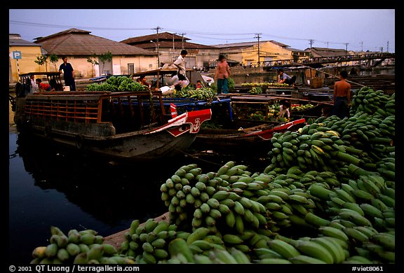 Boats bring loads of produce from the Delta on the Saigon arroyo. Cholon, Ho Chi Minh City, Vietnam (color)