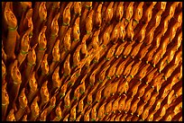 Detail of the thousands hands of a Buddha statue. Ha Tien, Vietnam (color)