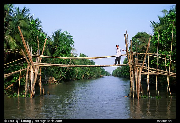 Bamboo bridge (called monkey bridge) near Phung Hiep. Can Tho, Vietnam (color)
