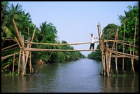 Bamboo bridge (called monkey bridge) near Phung Hiep. Can Tho, Vietnam (color)