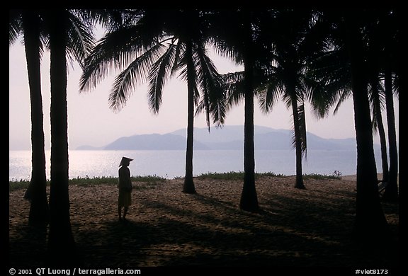 Palm-tree fringed beach, Nha Trang. Vietnam (color)