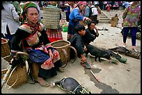 Pigs ready to be carried away for sale, sunday market. Bac Ha, Vietnam ( color)