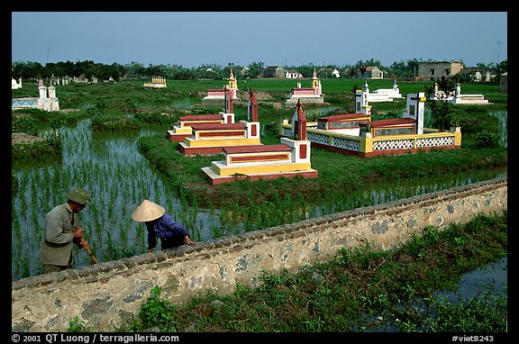 Catholic tombs set in rice field. Ninh Binh,  Vietnam