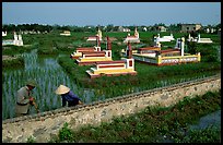 Catholic tombs set in rice field. Ninh Binh,  Vietnam ( color)