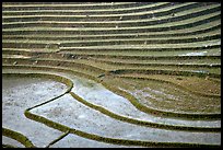 Terraced rice fields. Sapa, Vietnam ( color)