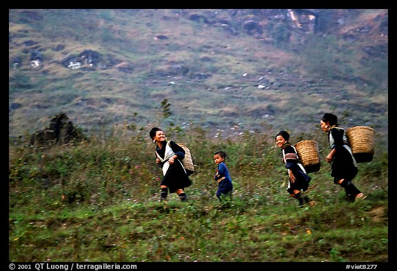 Hmong women back from the fields. The back basket is typically used by mountain tribes. Sapa, Vietnam