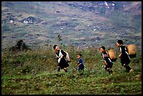 Hmong women back from the fields. The back basket is typically used by mountain tribes. Sapa, Vietnam (color)