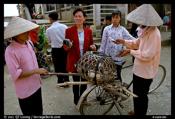 Buying live birds. Sapa, Vietnam (color)