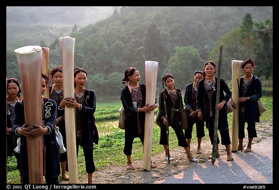 Ethnic minority women carrying banana trunks. Vietnam