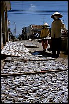 Women carrying a panel of fish being dried. Vung Tau, Vietnam ( color)