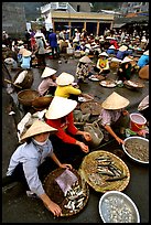 Fish market, Hong Gai. Halong Bay, Vietnam ( color)